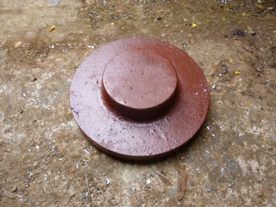 1227 casting for a backplate